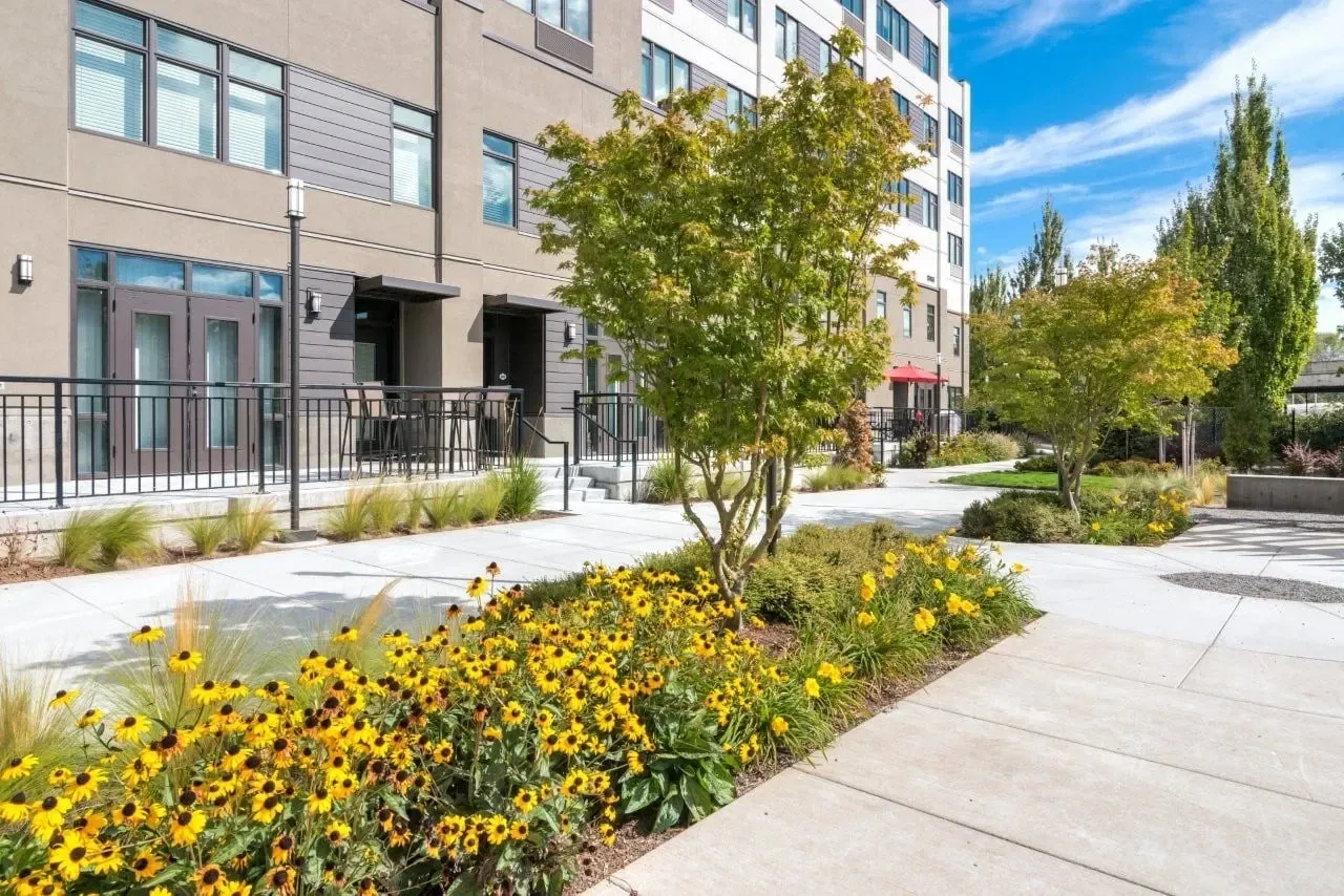 Courtyard with blooming yellow flowers and trees outside apartment buildings.