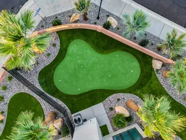 Overhead view of a backyard putting green with palm trees, rocks, and a curved retaining wall.