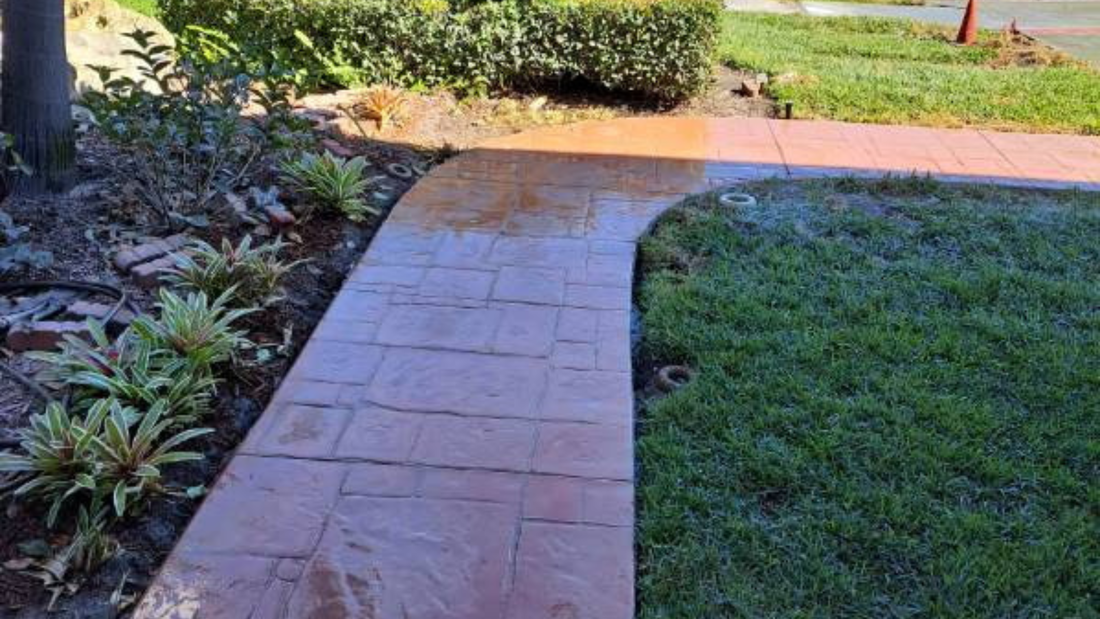 Brick pathway curves through a green lawn and garden with plants. Pathway is wet.