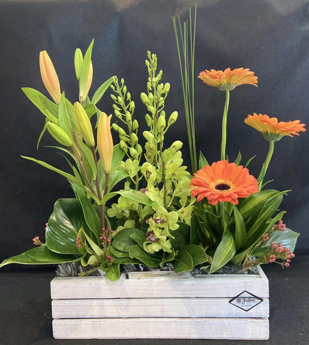 Special Occasions in Cairns J’adore Flowers & Gifts