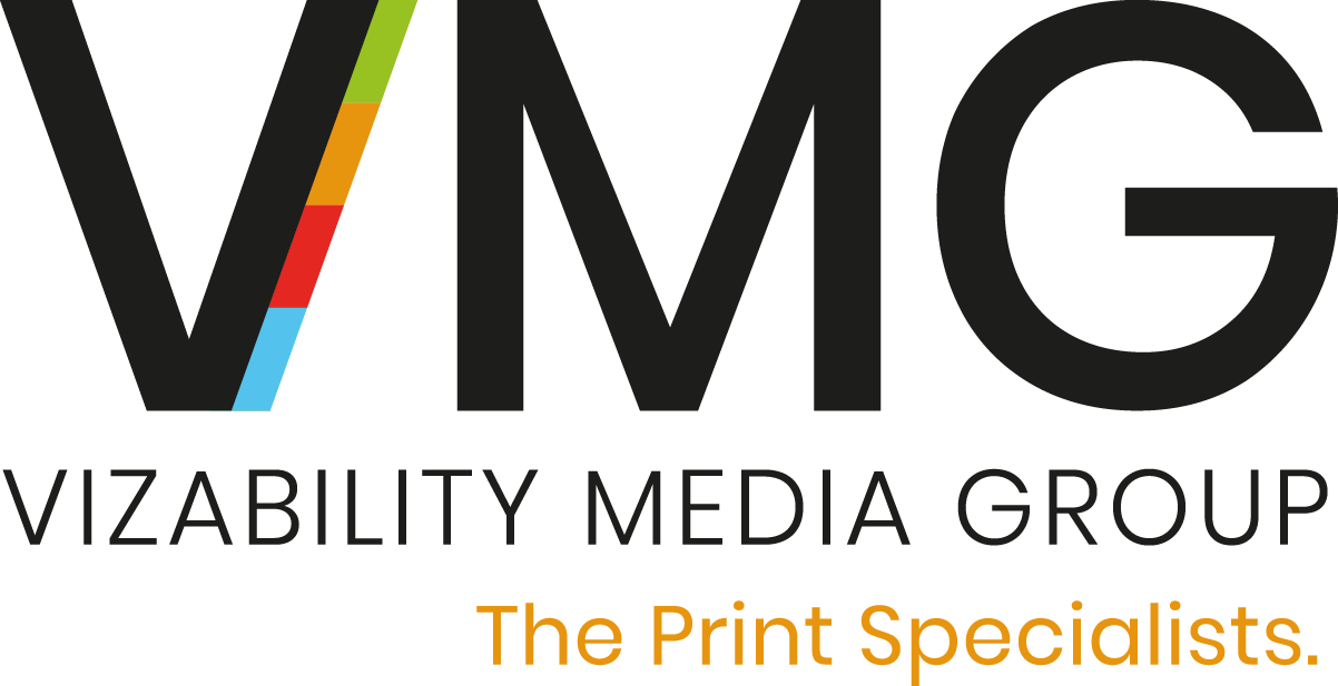 VMG Vizability Media Group logo, black text with a colored stripe and the tagline 