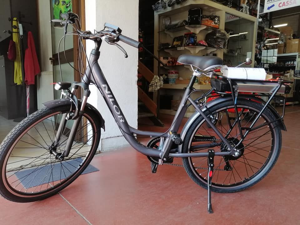 bici pedalata assistita