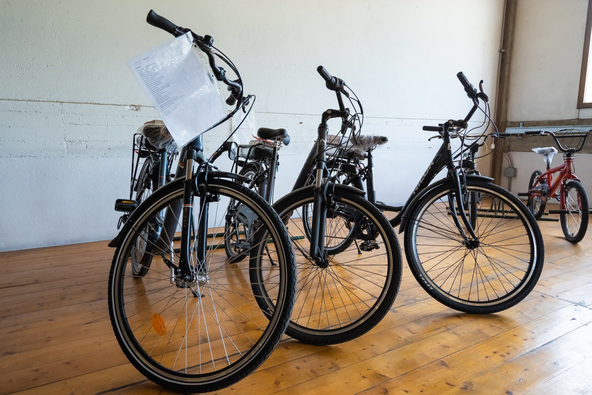 bici11
