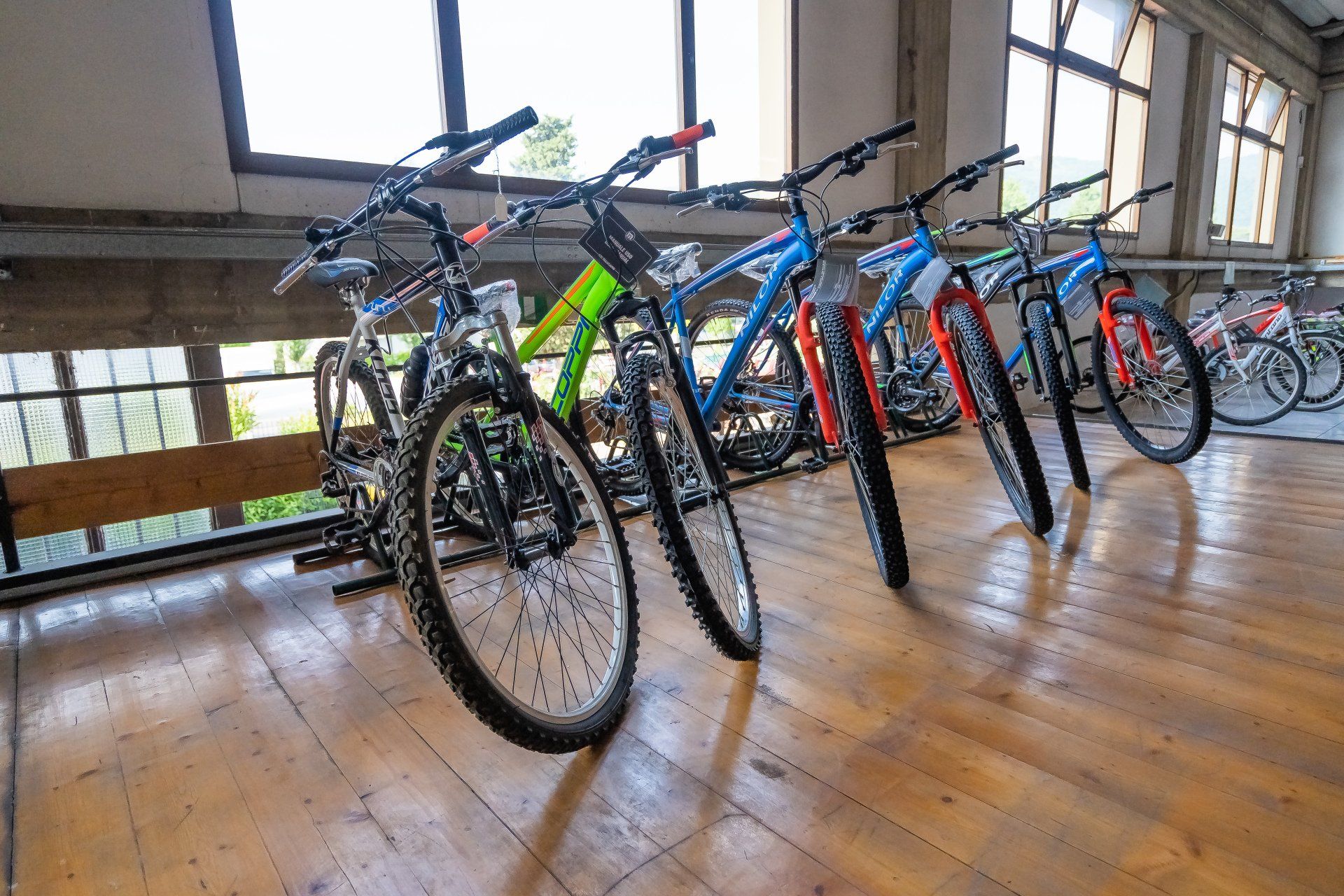 bici8