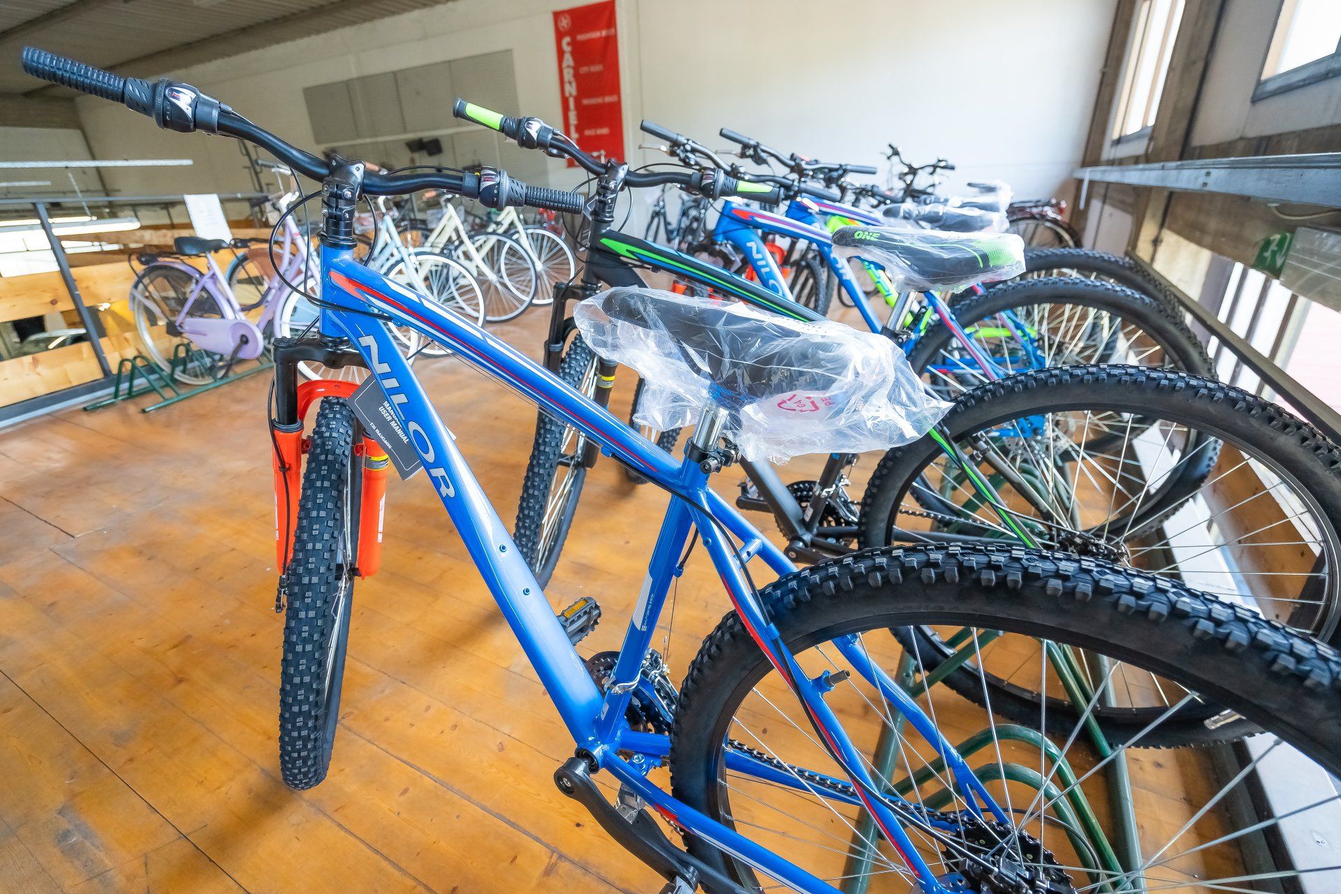 bici6