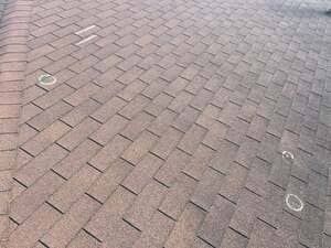 Brick-paved walkway with a herringbone pattern and circular metal markers