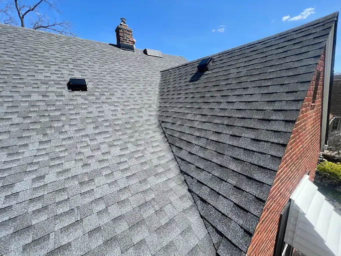 Roof shingles covered with tangled tree branches after storm damage