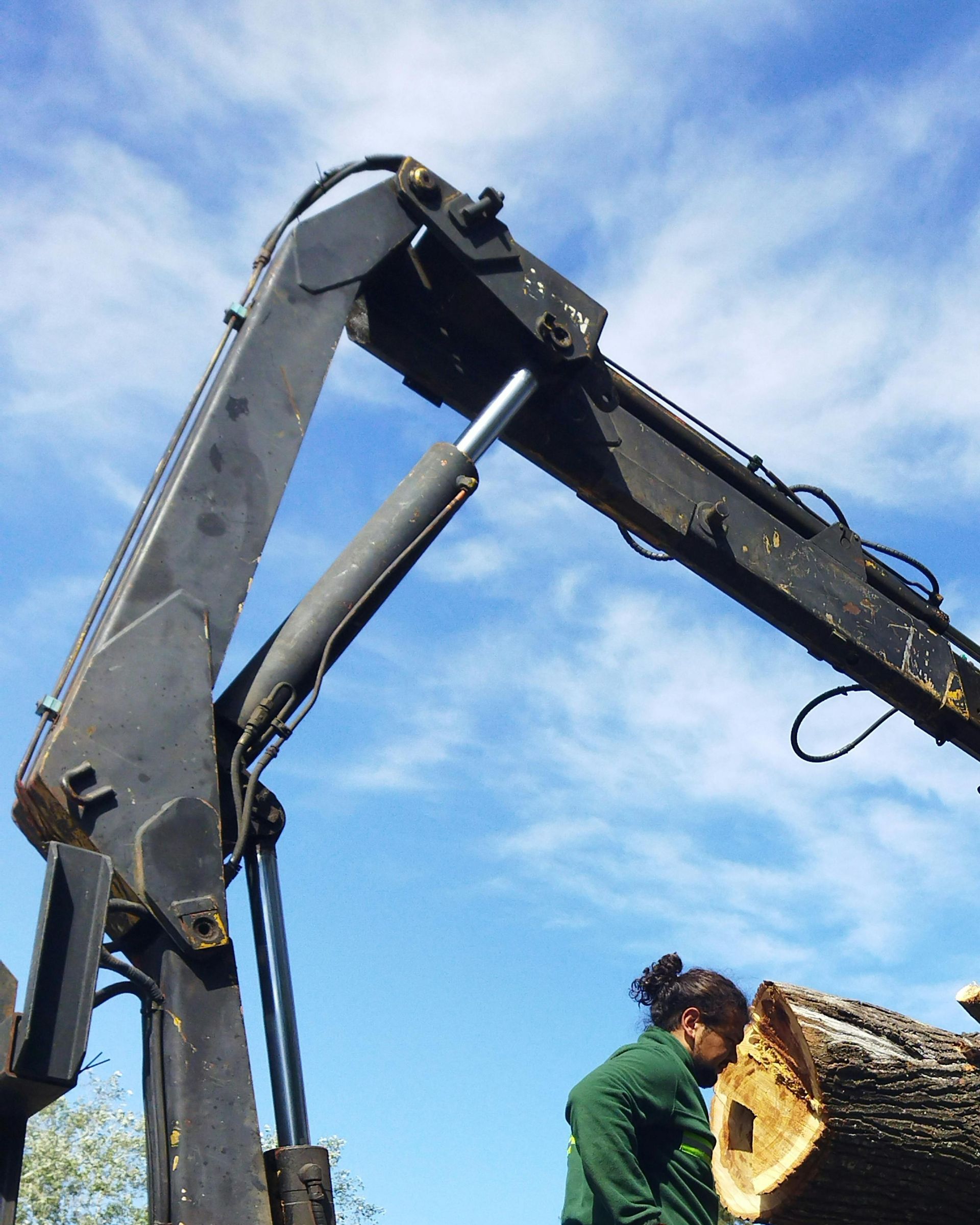 tree service in oxnard california