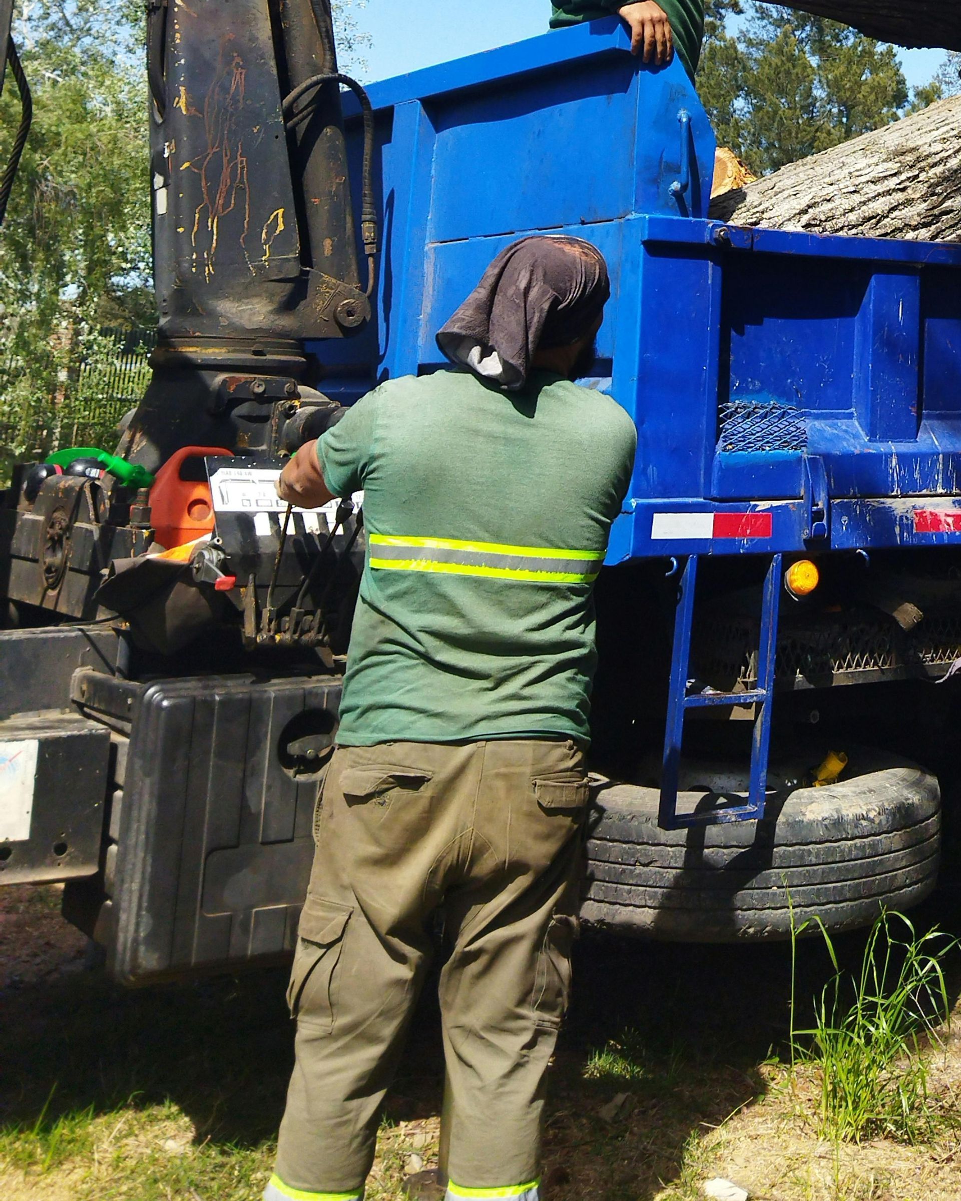 tree service in oxnard california