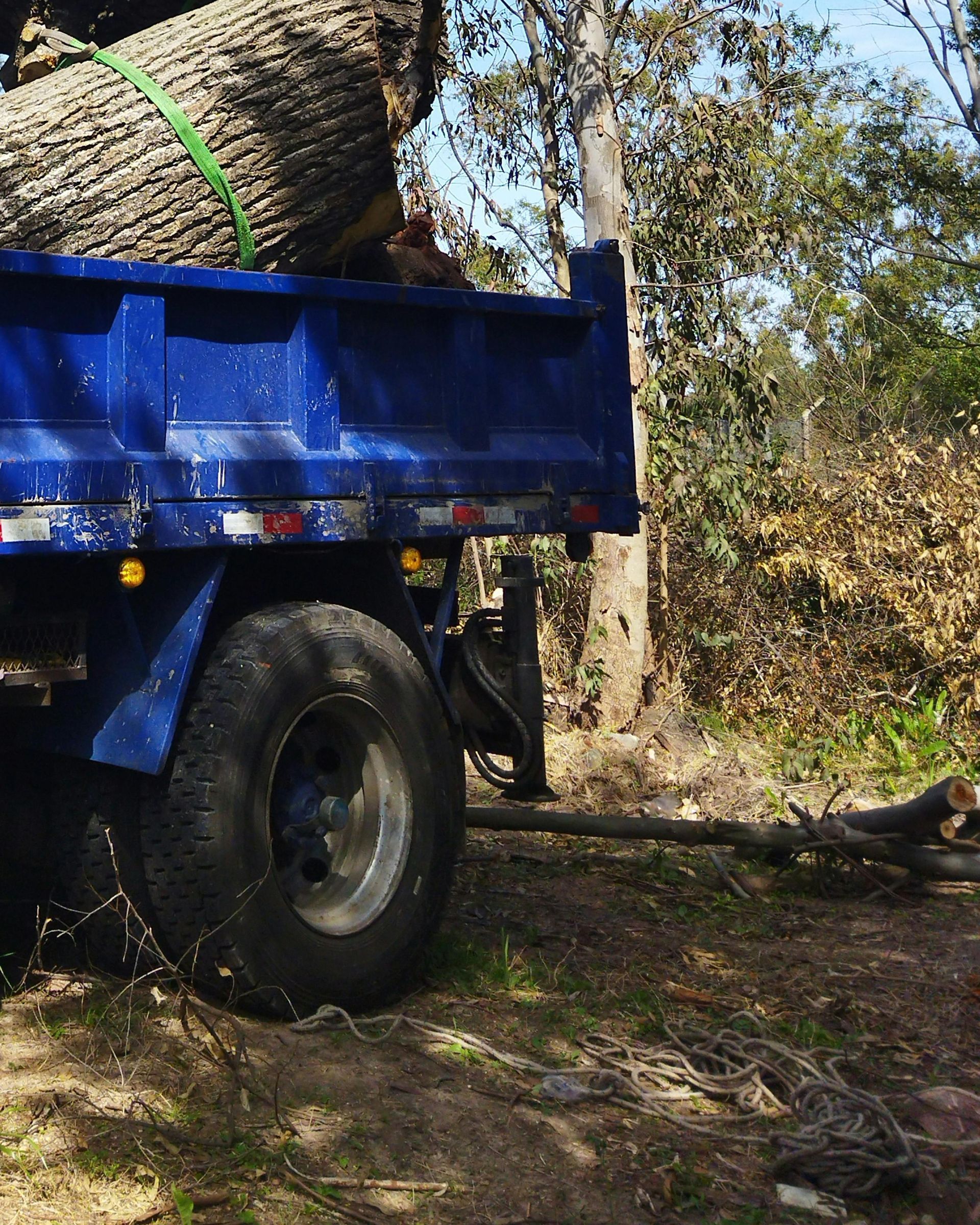 tree service in oxnard california