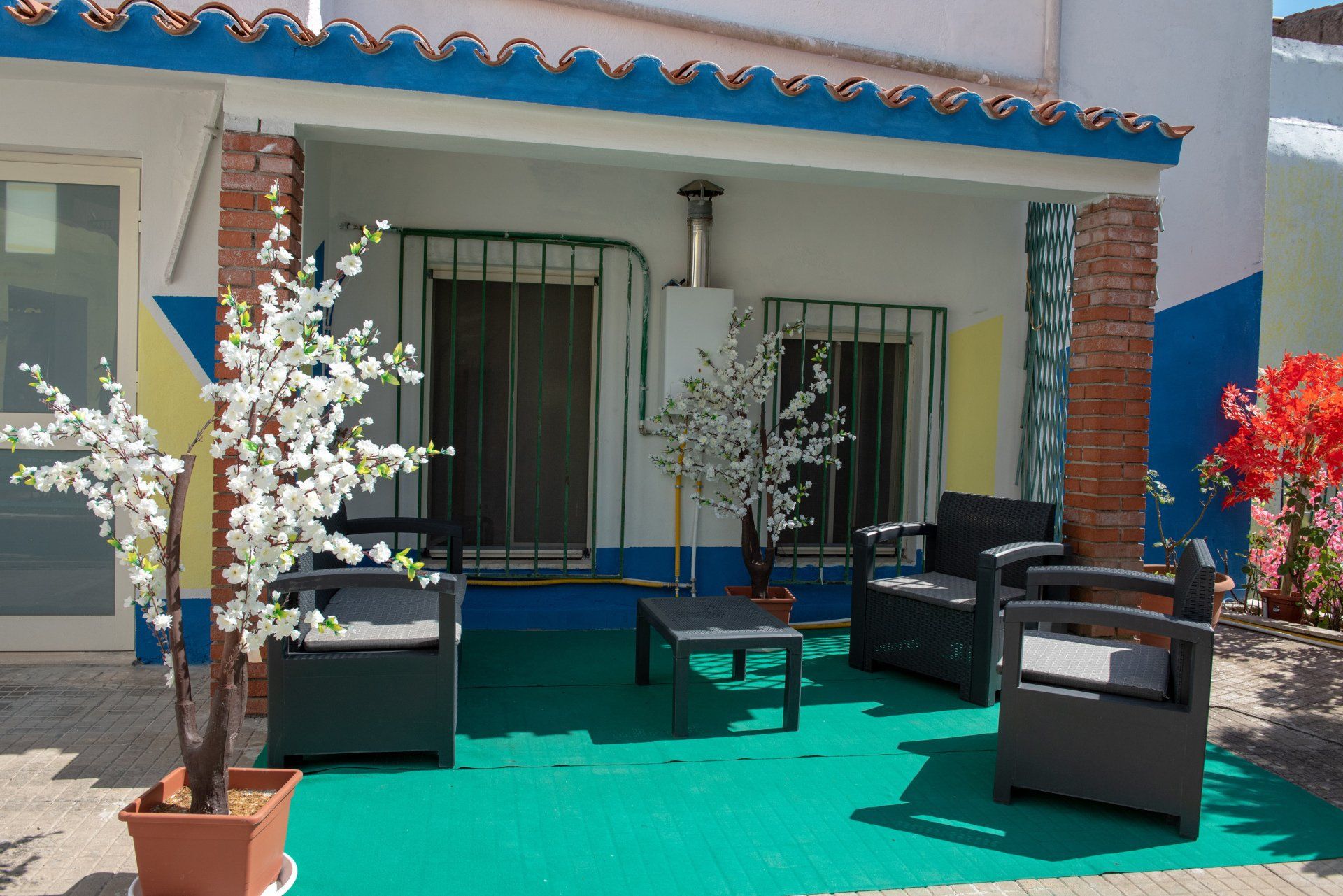siligo8