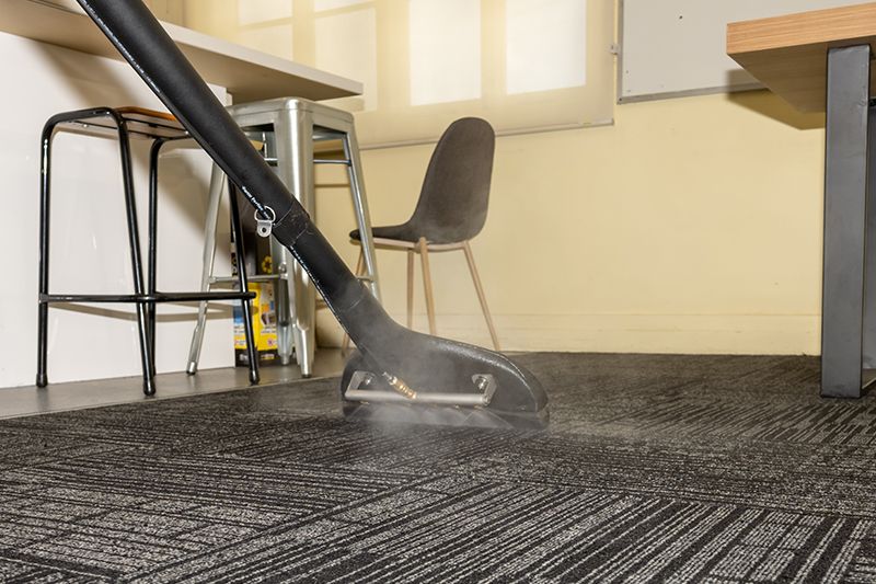 Cleaning The Carpet