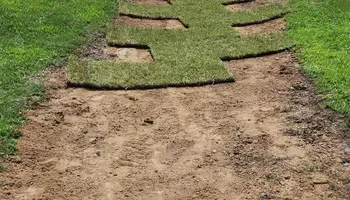 A dirt path going through a lush green lawn.