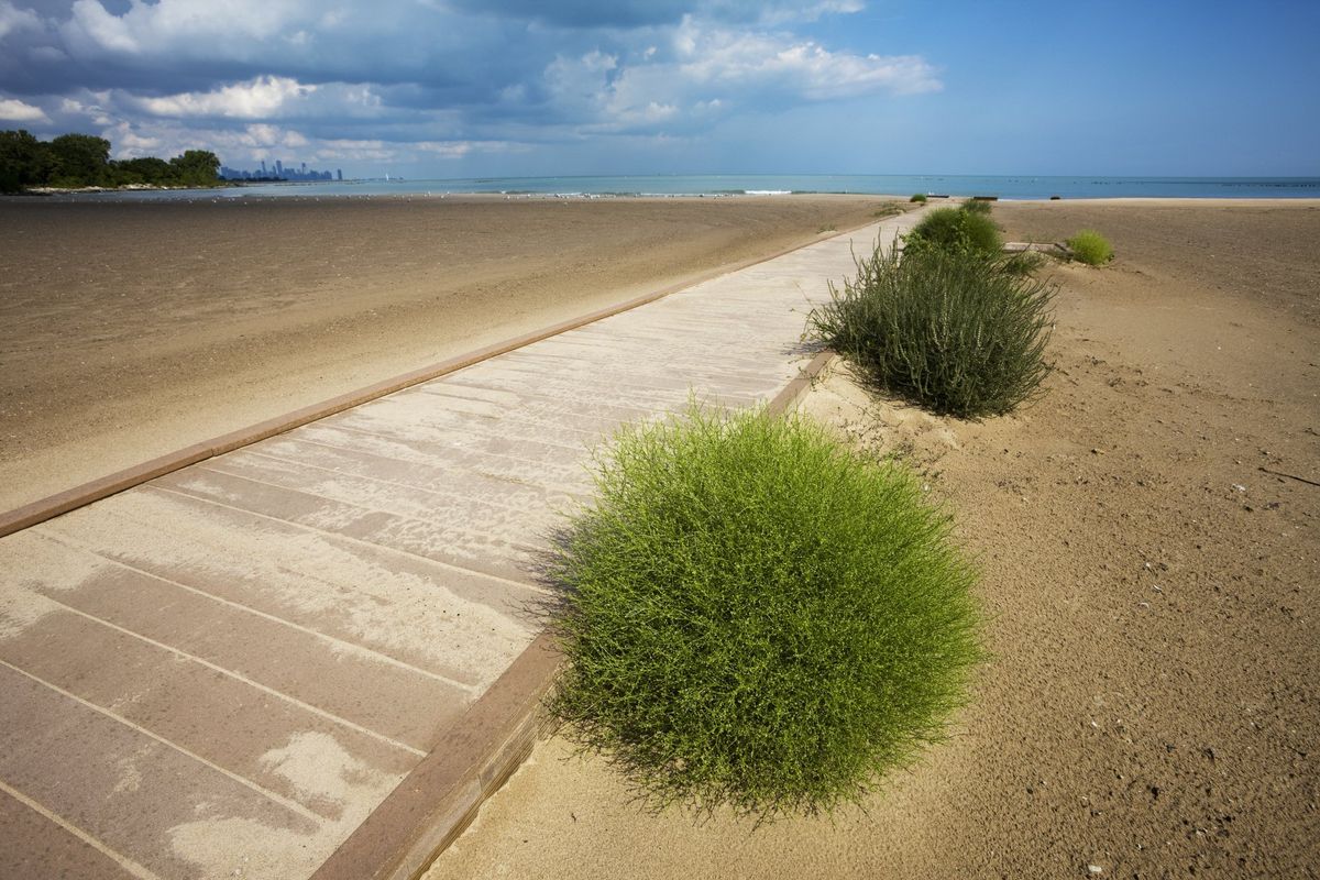7100 South Shore Apartments - Beach