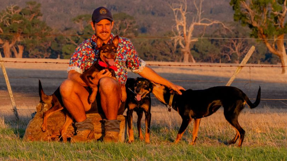 Jack Kennedy with his farm dogs