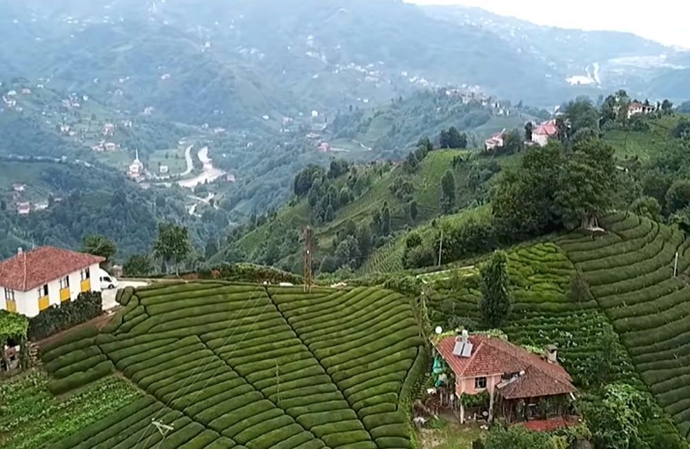 çeçeva turu, çeçeva haremtepe turu, günübirlik çeçeva turu, trabzon çıkışlı günübirlik çeçeva turu