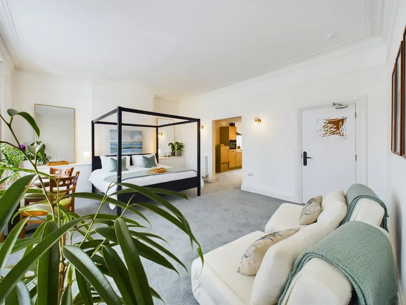 Bright minimalist bedroom with a black canopy bed, white walls, gray rug, and a leafy plant in the foreground