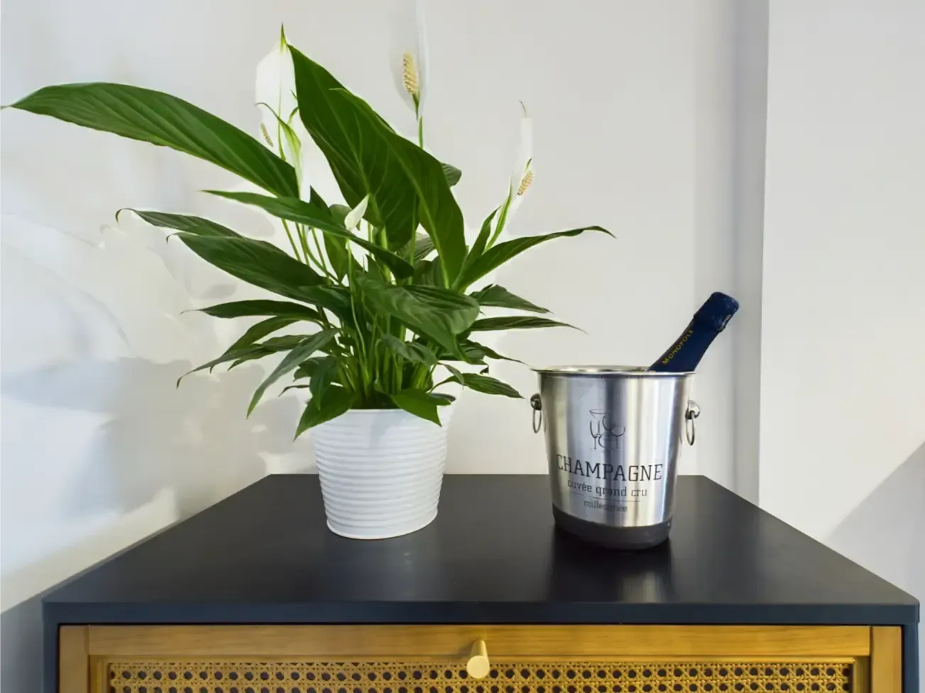 Potted green plant on a black dresser beside a stainless steel utensil holder