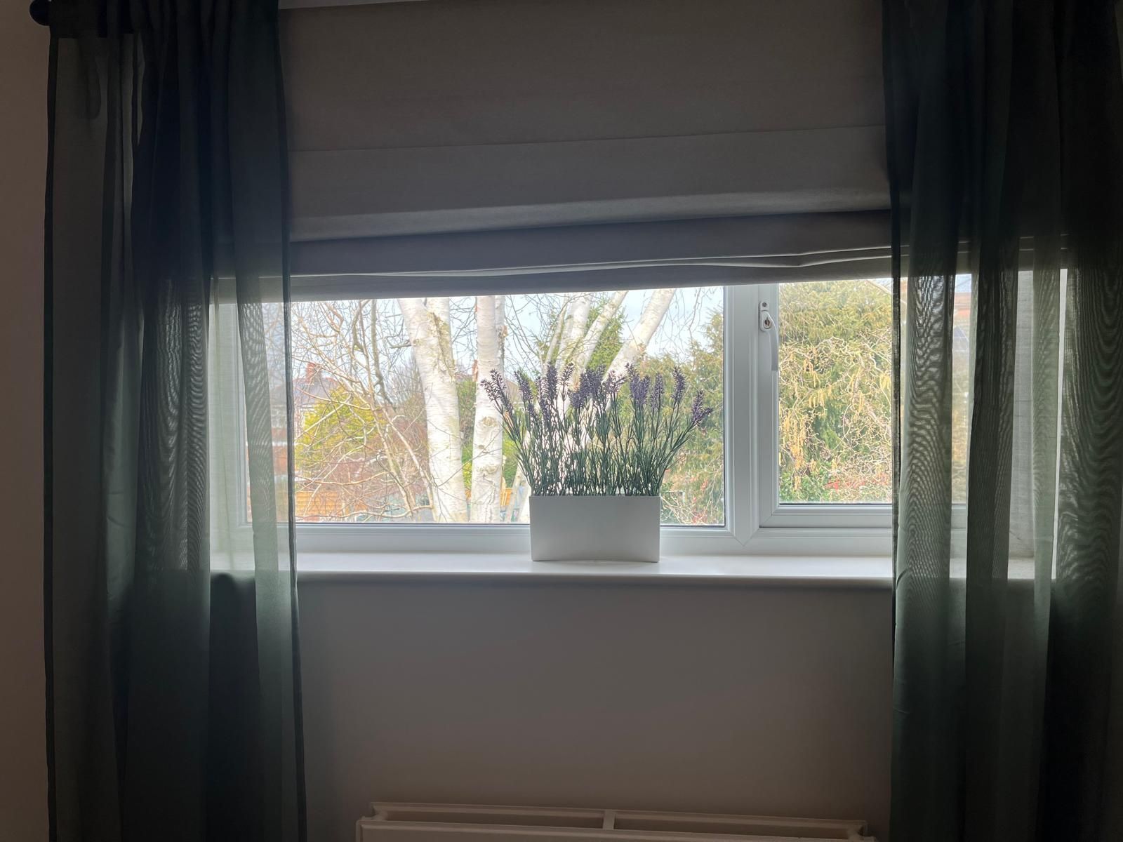 Window with dark curtains and a potted lavender plant on the sill