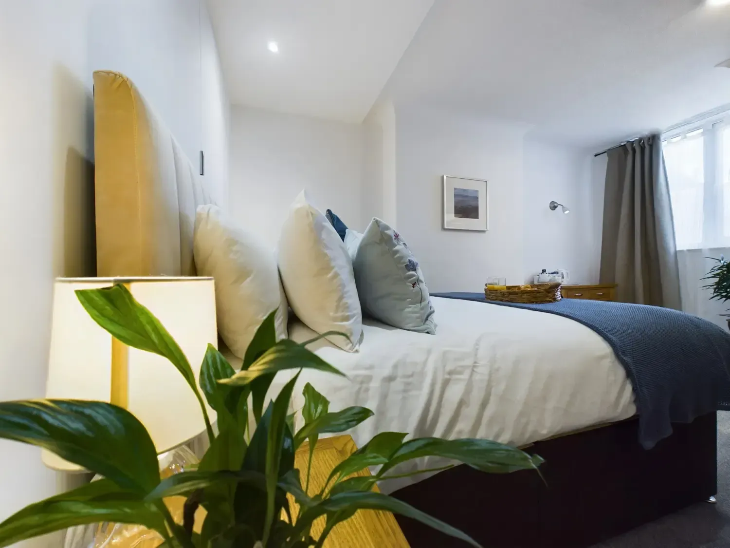 Bright bedroom with white bed, blue blanket, large plant, and window with gray curtains.