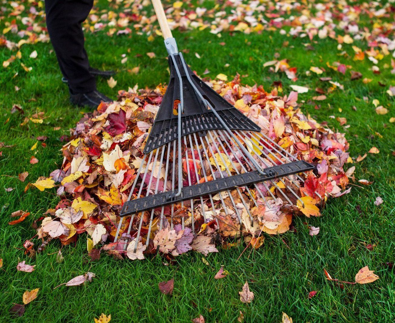 A person rakes a pile of colorful autumn leaves on green grass.