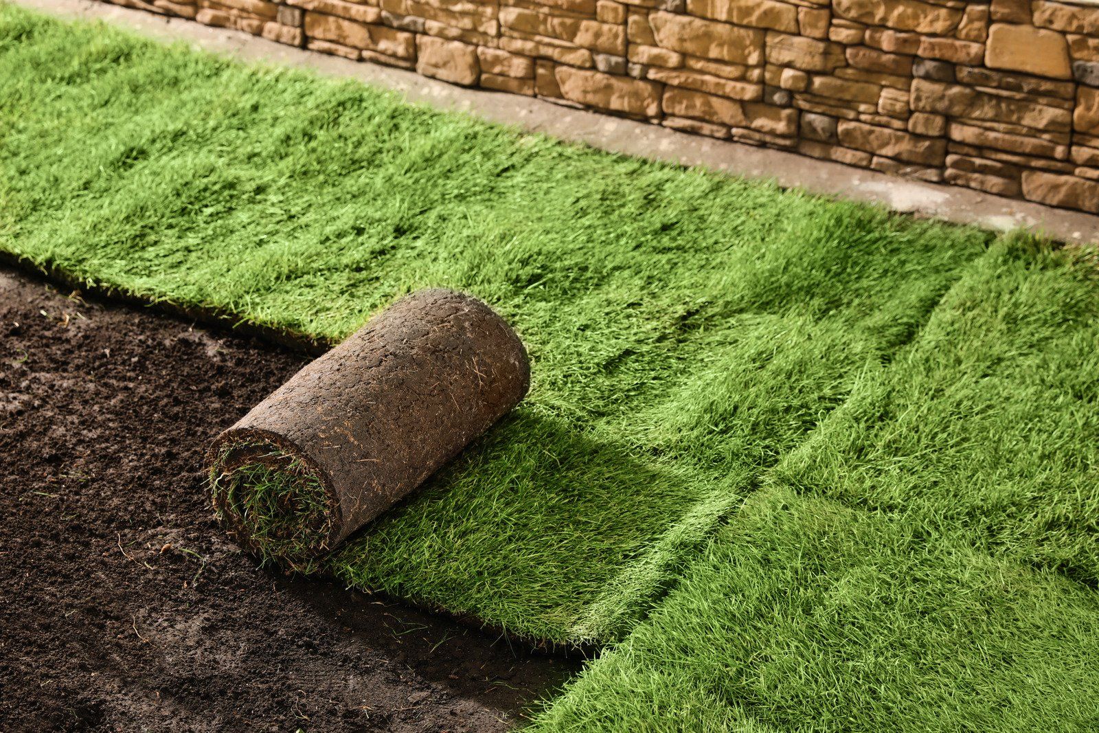 Roll of sod being laid, next to a strip of already installed turf against a brick wall.