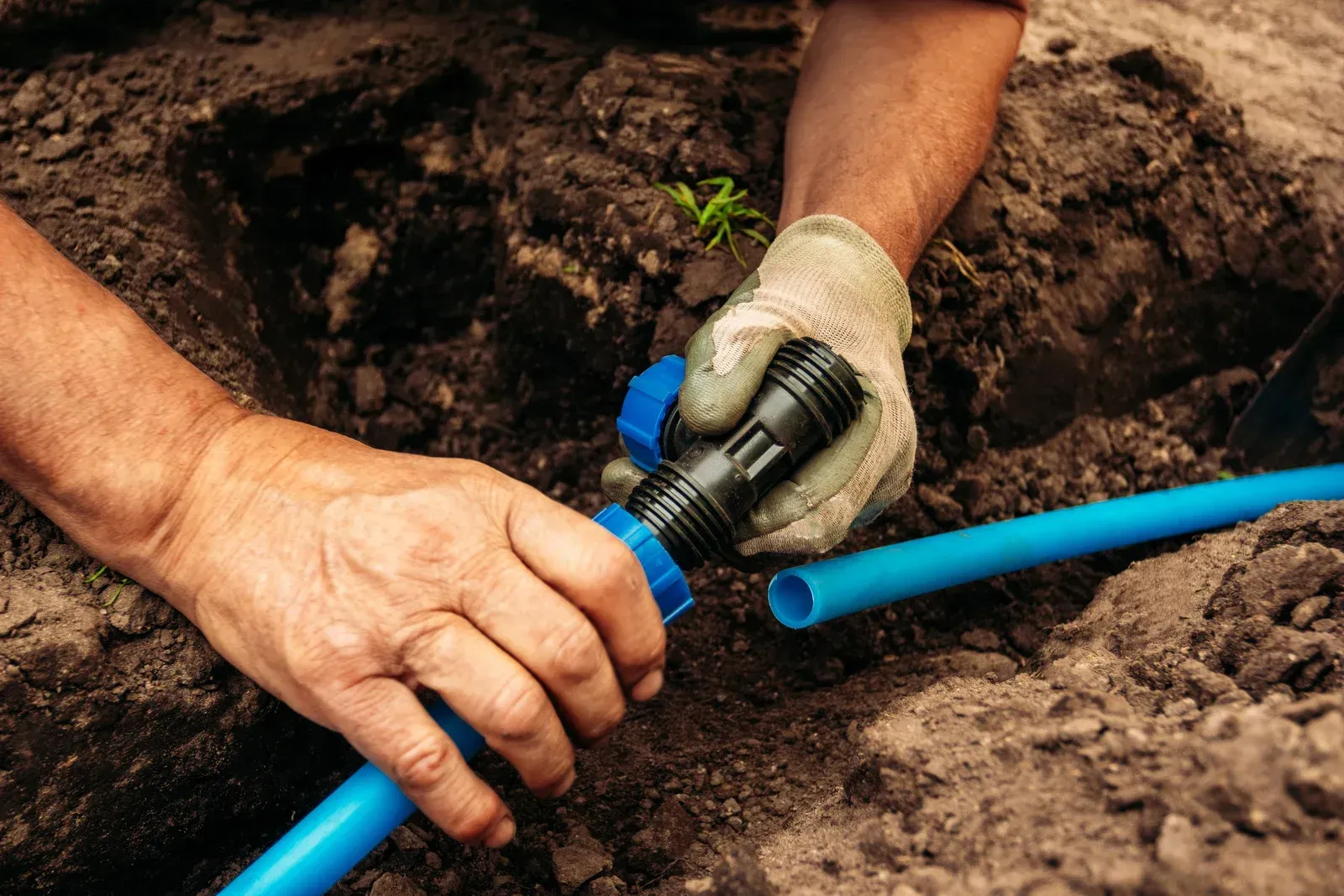 Water flowing from a blue valve connected to black tubing in a garden bed, with green grass and dirt.
