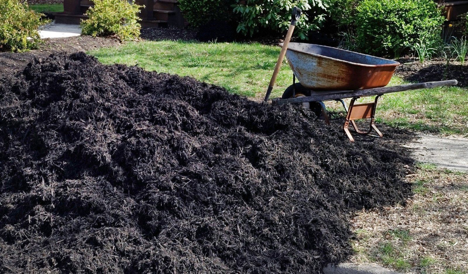 A large pile of dark mulch with a rusty wheelbarrow on a lawn, ready for gardening.