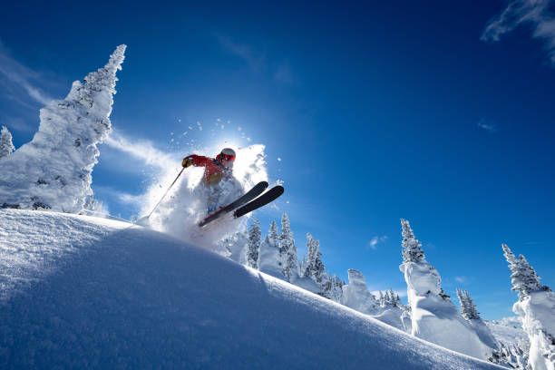 Skier carving through fresh powder on a snowy slope under a bright blue sky.