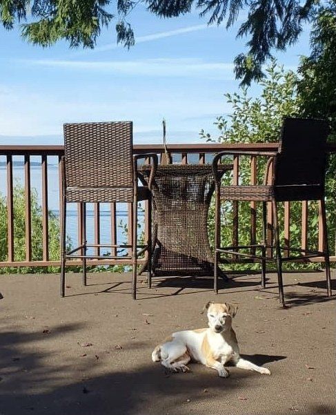 Maya - The Salish Seaside Escapes - Eastsound, WA