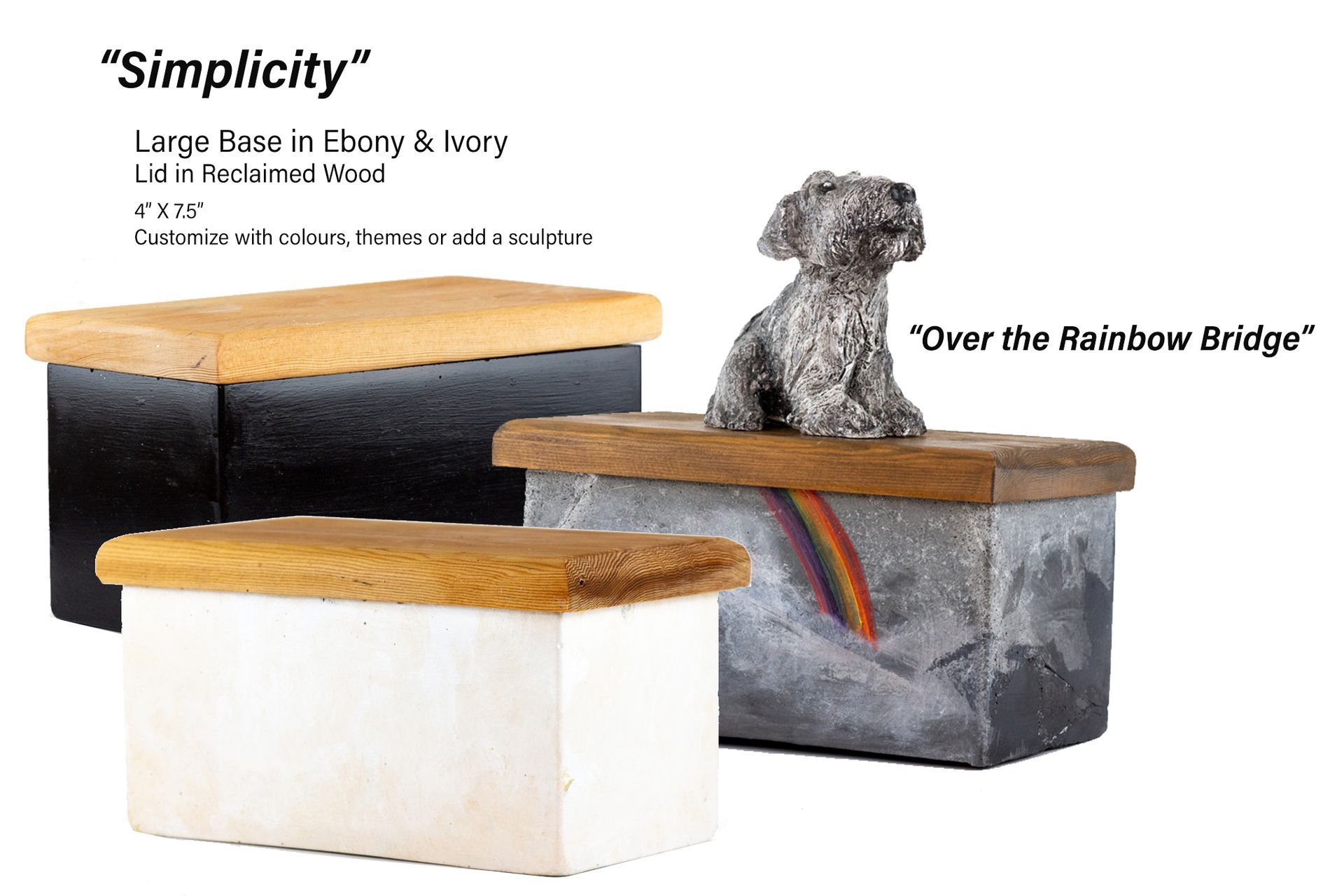 A small dog is sitting on top of a box with a rainbow on it