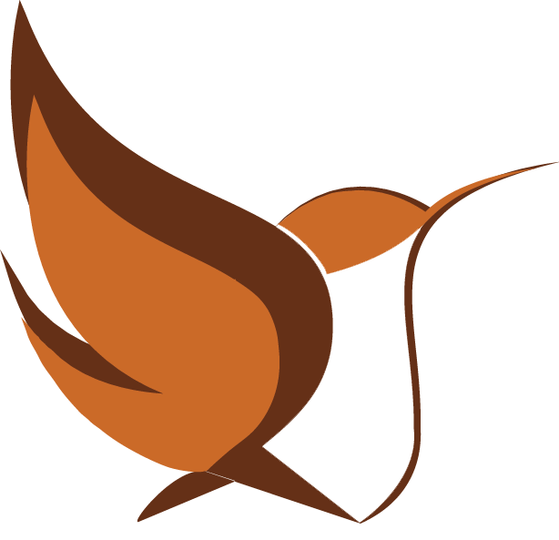 A brown bird with a long beak is flying on a white background