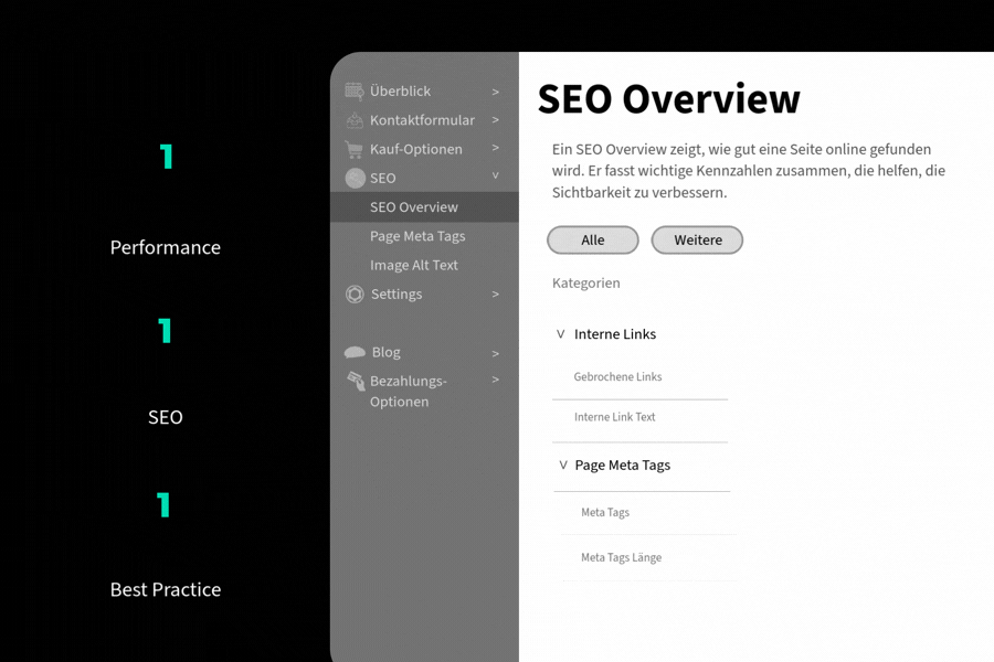 SEO-Übersichts-Dashboard mit Kennzahlen zu Leistung, SEO und Best Practices sowie Seitendetails.