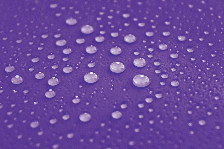 Close-up of water droplets on a purple surface