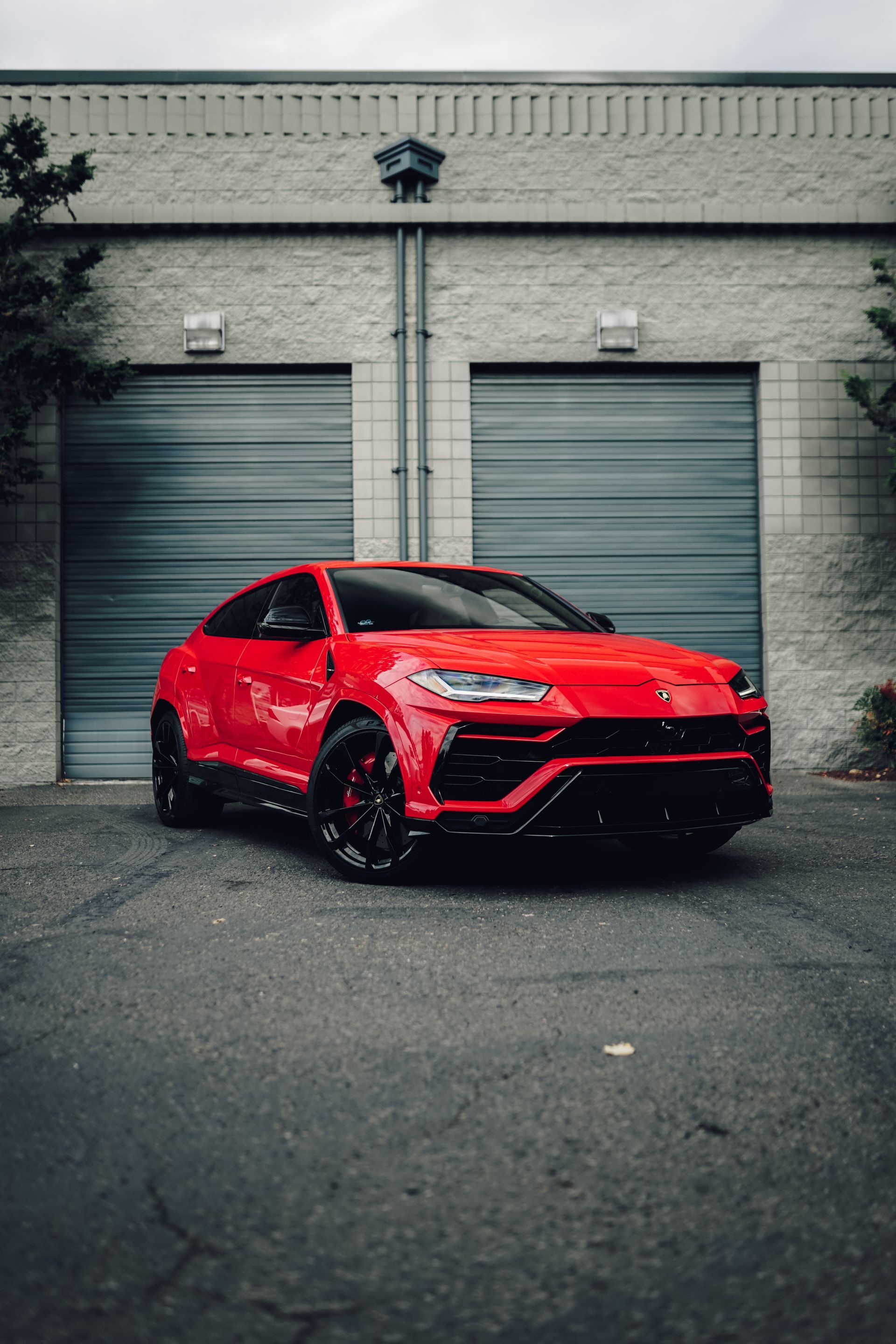 XPEL PRIME XR PLUS window tinting