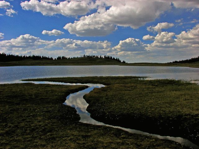 A winding stream flows through a grassy marsh into a wide lake under a bright, cloudy blue sky.