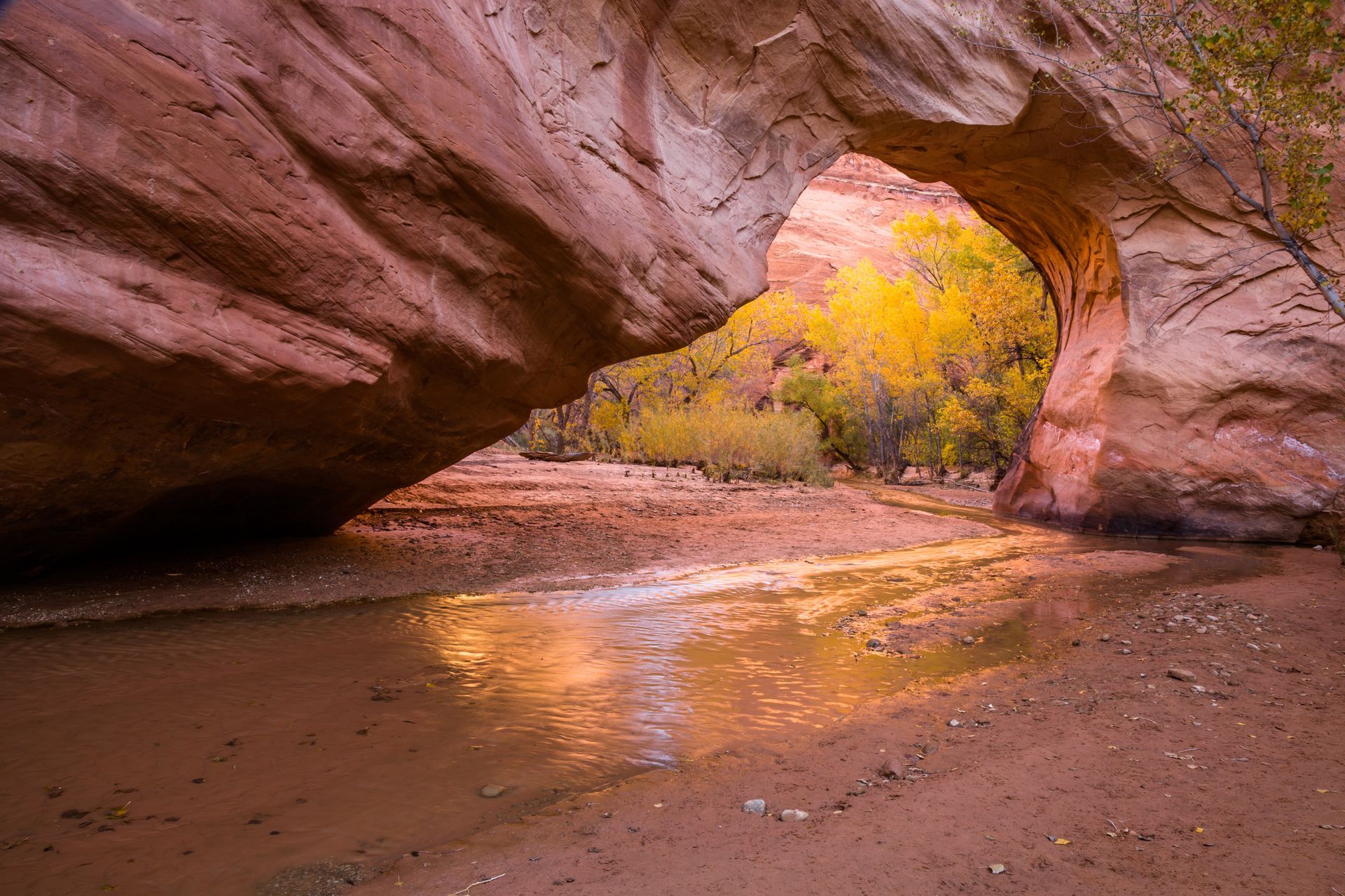 A natural rock arch frames a stream reflecting yellow autumn trees in a red rock canyon.