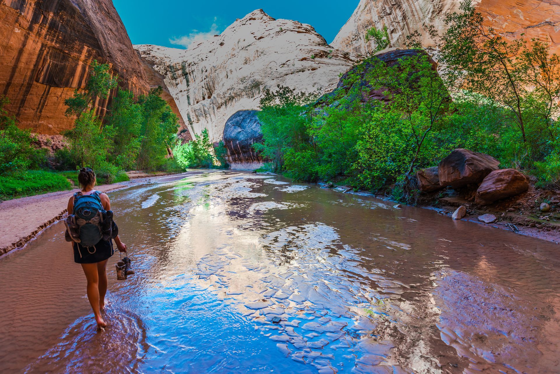 A person with a backpack walks through a shallow, muddy river in a canyon, surrounded by lush green trees and rock walls.