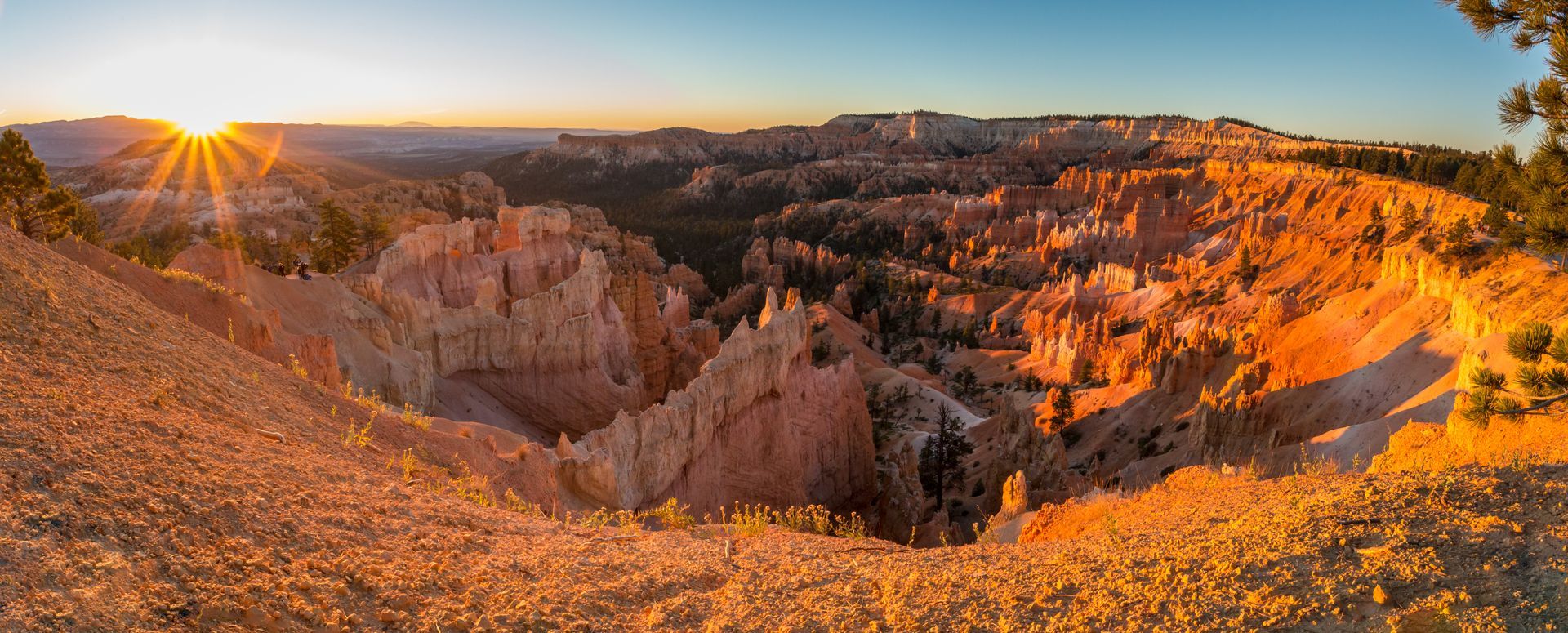 A panoramic view of Bryce Canyon at sunrise, featuring golden-lit rock formations and spires under a clear blue sky.