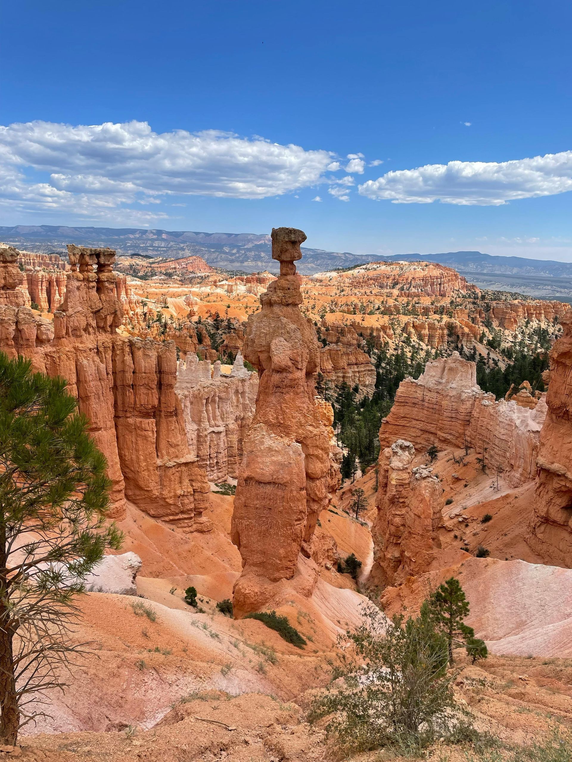 Thor's Hammer, a distinctive orange hoodoo rock formation, stands in the vast, desert landscape of Bryce Canyon.