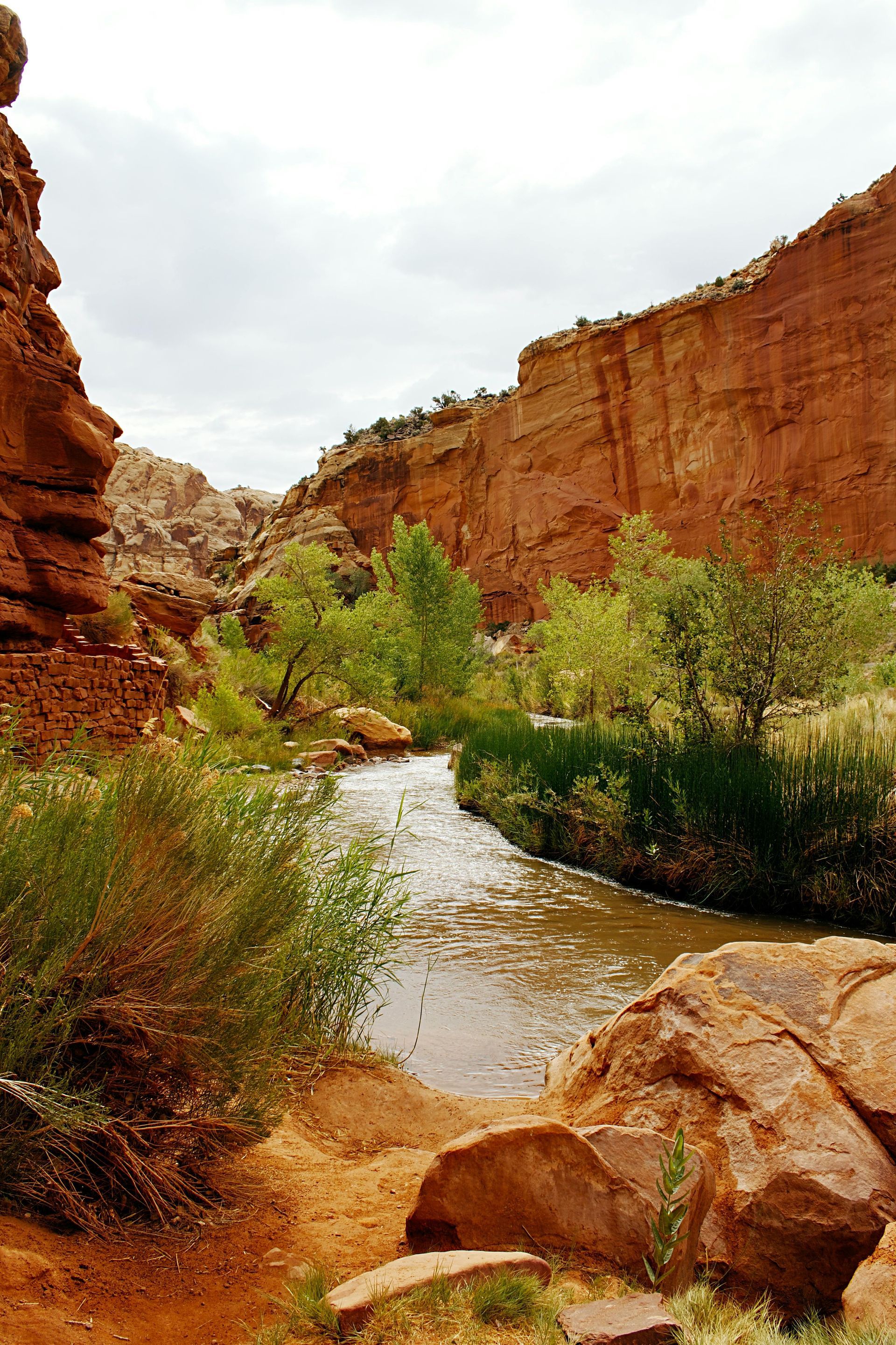 A stream winds through a canyon with tall, red rock walls and lush green trees along the banks.