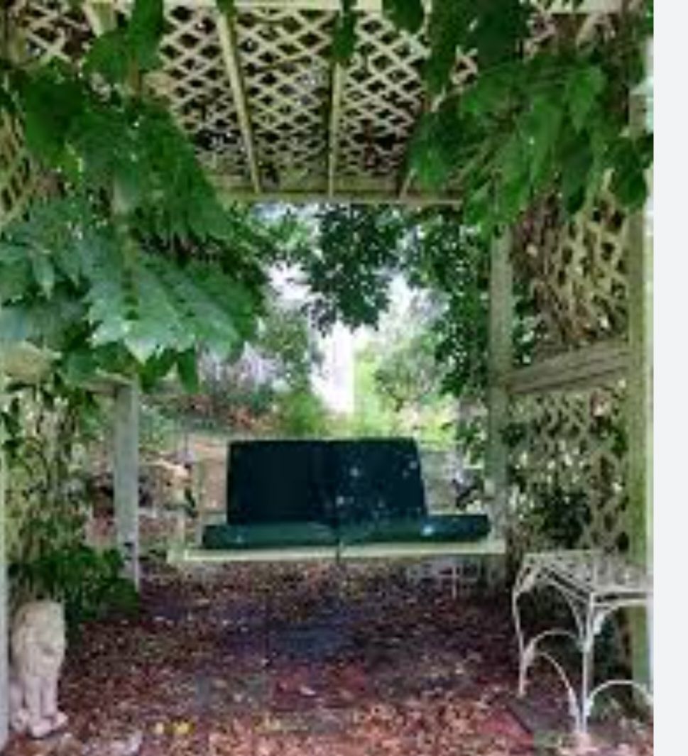 Swing seat in a trellis-covered area; green cushions, leafy vines, white lattice, stone lion statue, small table.