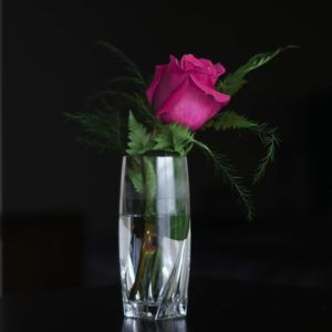 cremation services in Columbia, TN