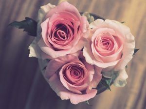 cremation services in Murfreesboro, TN