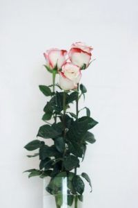 funeral homes in Columbia TN