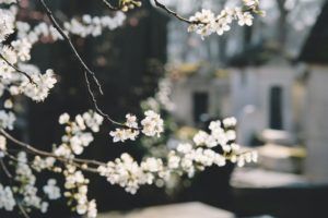 funeral homes in Columbia, TN