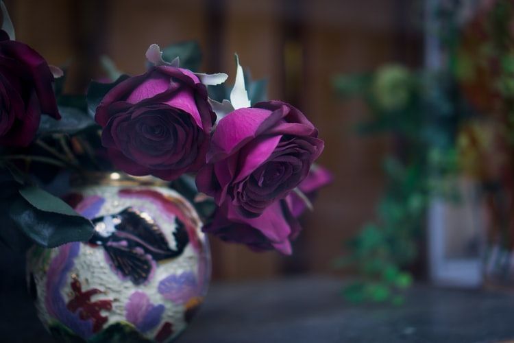 funeral homes in Murfreesboro, TN