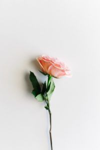 funeral homes in Murfreesboro , TN