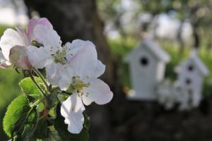 funeral homes in Murfreesboro, TN