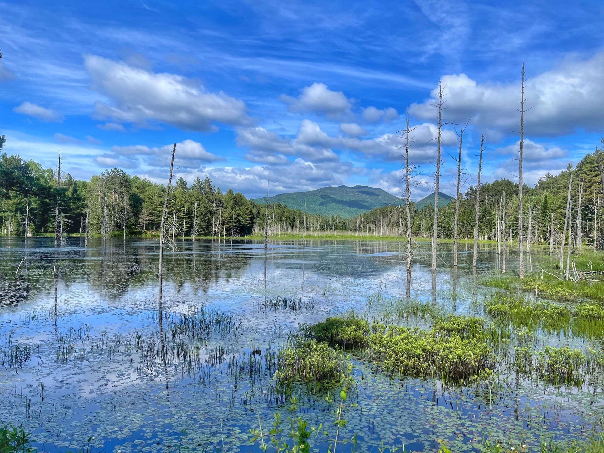 View of pond in the foreground with mountains and trees in the background as seen from the Adirondack Rail Trail